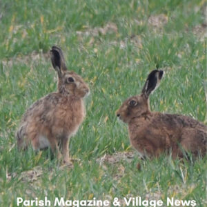 Crondall & Ewshot Parish Magazine - June 2026